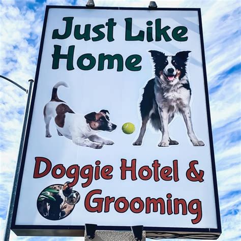 Just like home doggie hotel and grooming photos  See photo